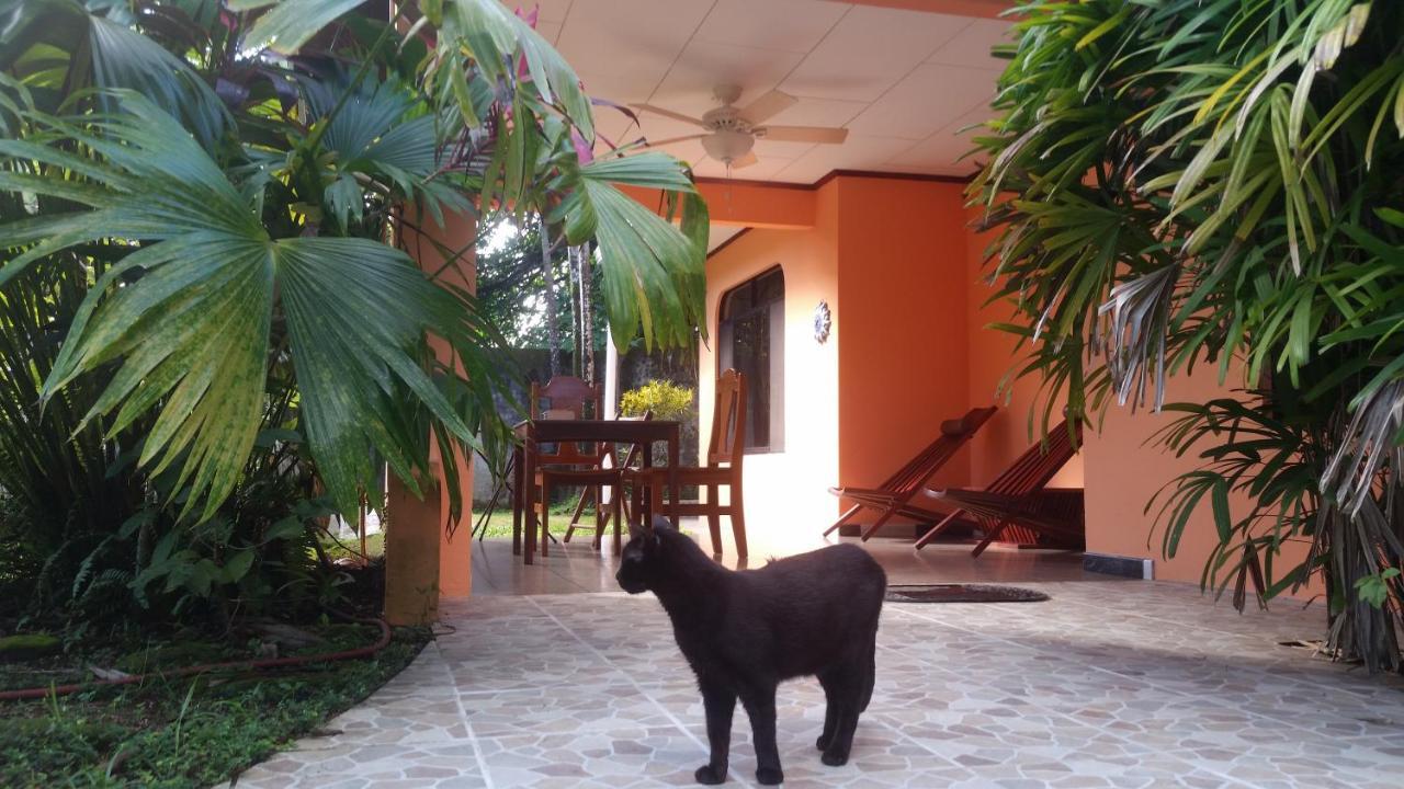 לינה וארוחת בוקר Puerto Jiménez Embassy House מראה חיצוני תמונה